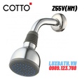 Bát sen tắm gắn tường COTTO Z55V(HM)