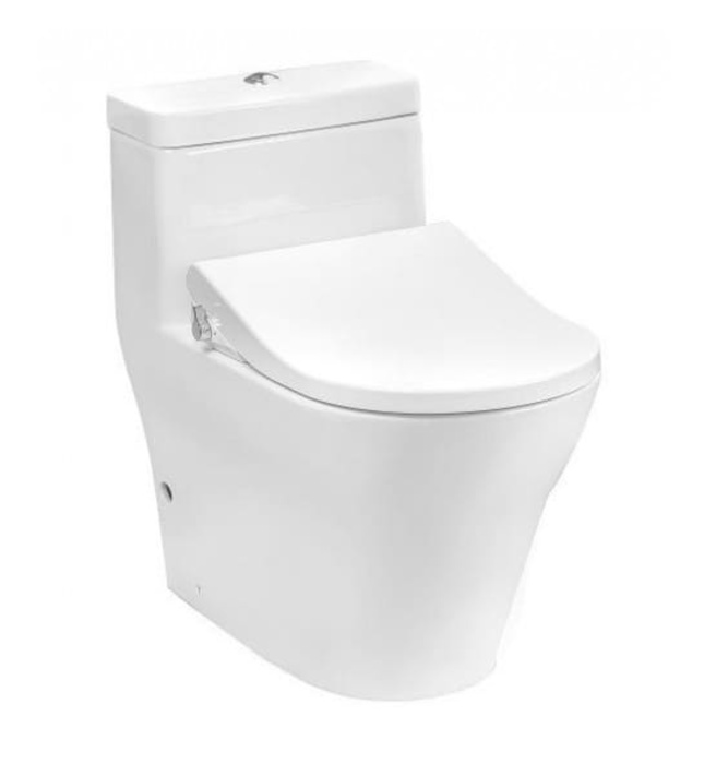 Bồn cấu 1 khối nắp rửa cơ TOTO CW166RB/TCW09S