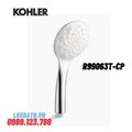 Tay sen tắm cầm tay Kohler RENEW K-R99063T-CP