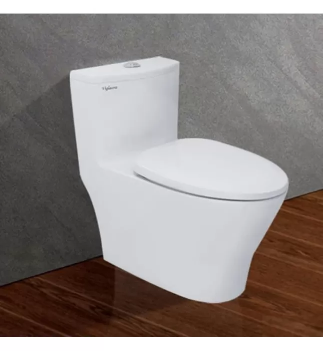 Bồn cầu 1 Khối nắp êm Viglacera V36 