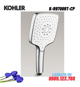 Tay sen tắm cầm tay Kohler Rain Duet K-R97009T-CP