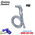 Vòi xịt vệ sinh mạ American Standard PQ2