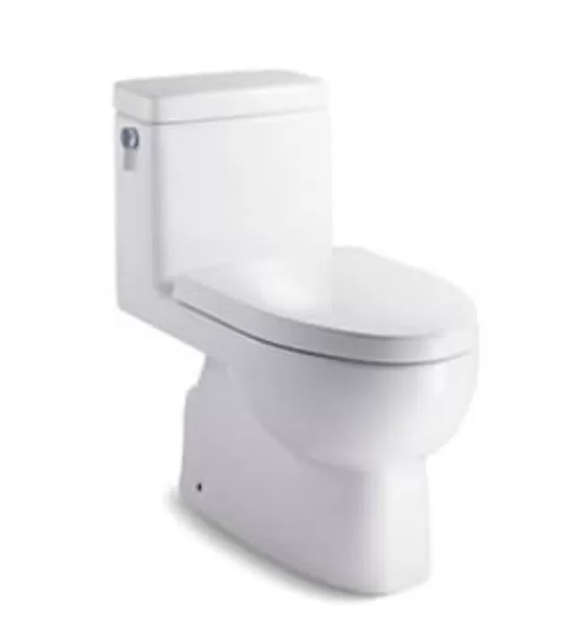 Bồn Cầu Một Khối Nắp Êm Kohler Reach K-30215T-S-0