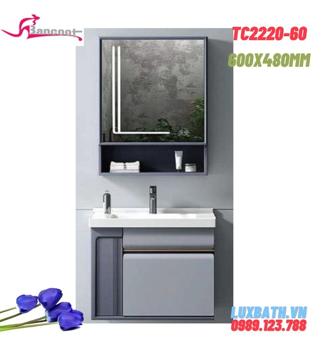 Bộ tủ chậu lavabo Treo Tường Bancoot TC2220-60 600x48cm
