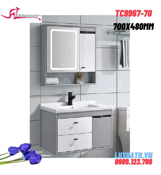 Bộ tủ chậu lavabo Treo Tường Bancoot TC9967-70 70x48cm