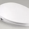 Nắp bồn cầu rửa cơ Kohler K-98804K-0