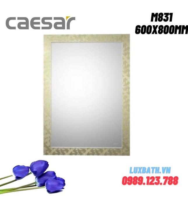 Gương soi treo tường Caesar M831 600x800mm