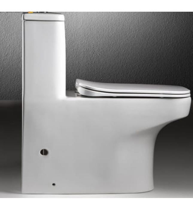 Bồn cầu 1 khối nắp êm Đức BRAVAT C21122UW-3-ENG