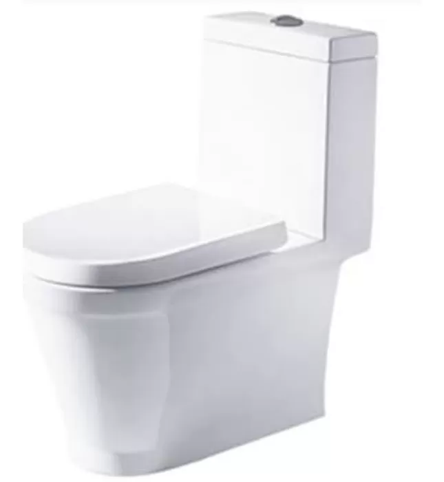 Bồn cầu 1 khối nắp êm BRAVAT C21130XUW-PB-ENG