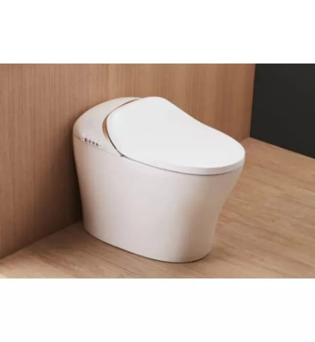 Bồn cầu thông minh BRAVAT C21186W-3C-VP