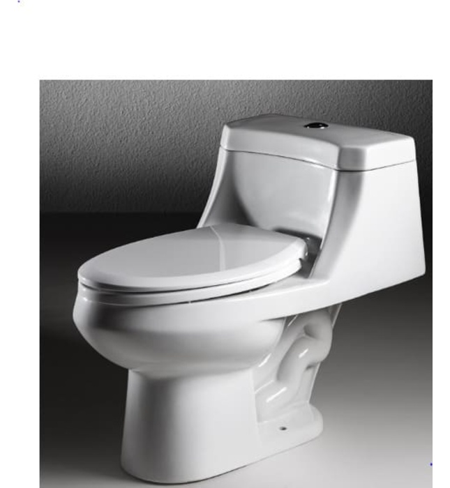 Bồn cầu 1 khối nắp êm Đức BRAVAT C2183W-3A-ENG