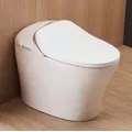 Bồn cầu thông minh BRAVAT C21186W-3C-VP