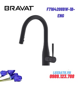 Vòi rửa bát nóng lạnh cao cấp Bravat F7164208BW-1B-ENG