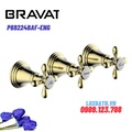 Bộ điều chỉnh nhiệt độ sen tắm Bravat P69224BAF-ENG