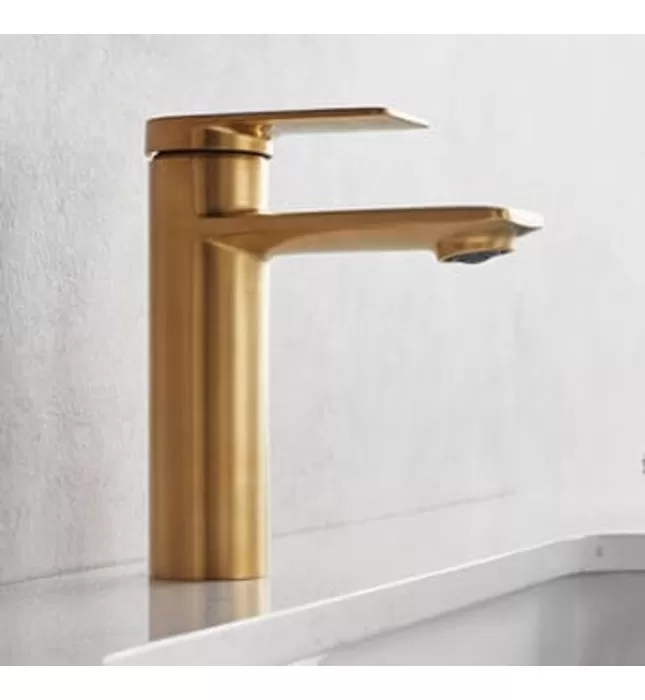 Vòi Lavabo Nóng Lạnh BRAVAT F1369402RBG-ENG