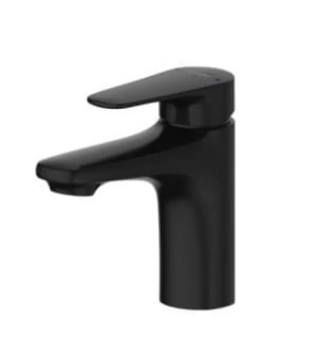 Vòi Lavabo Nóng Lạnh BRAVAT F1173218BW-9