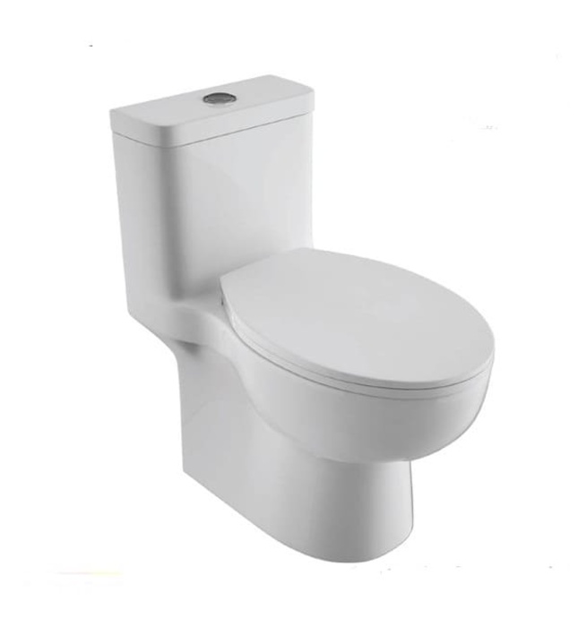 Bồn cầu 1 khối nắp êm BRAVAT C2168XUW-3