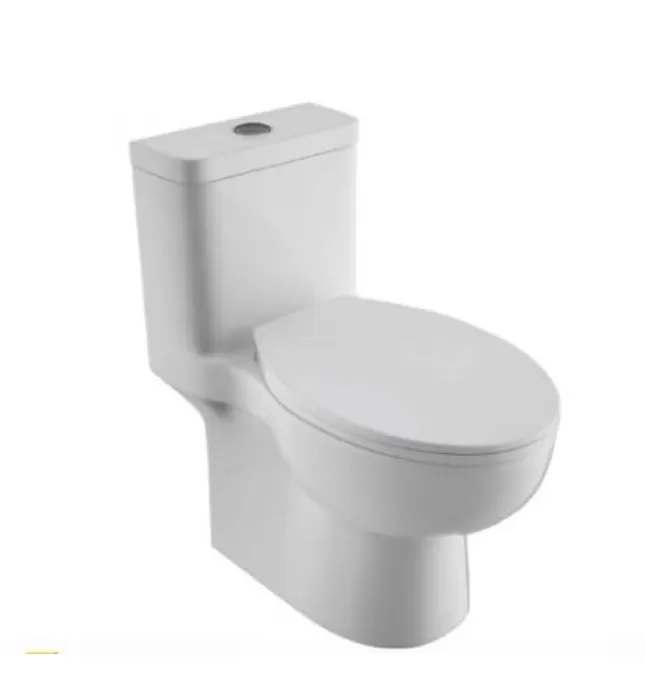 Bồn cầu 1 khối nắp êm BRAVAT C2168XW-3-ENG