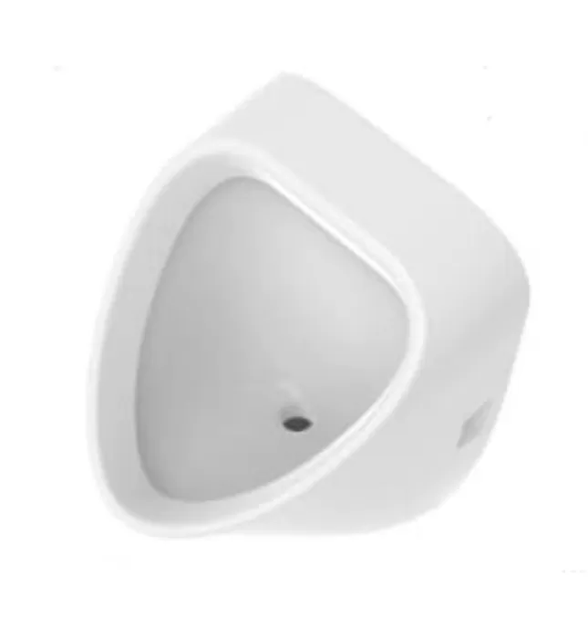Bồn tiểu nam treo tường cao cấp Bravat C2512W-B2-ENG