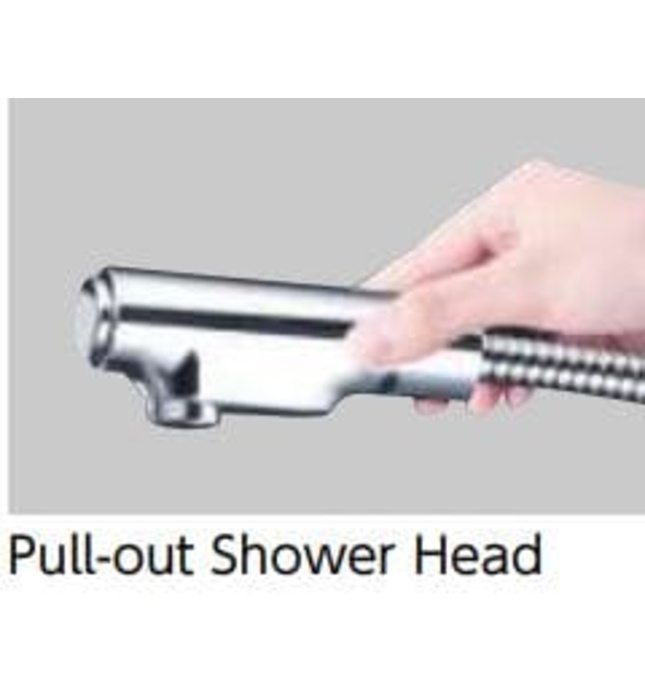 Vòi Bếp Kháng Khuẩn Chống Bám Bẩn Nhật Bản KVK KM6121SCECHS