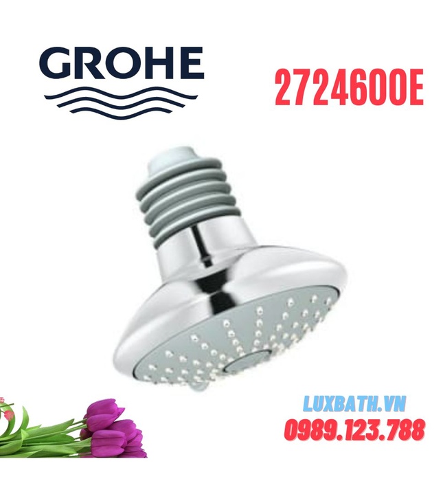 Bát Sen Tắm Gắn Tường Đức Grohe 2724600E