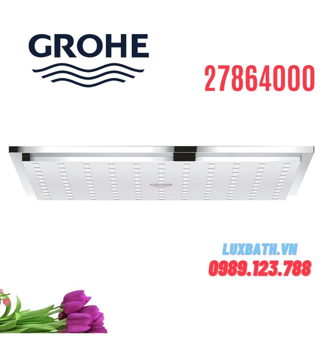Bát Sen Tắm Gắn Trần Đức Grohe 27864000