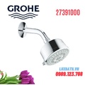 Bát Sen Tắm Gắn Tường Đức Grohe 27391000
