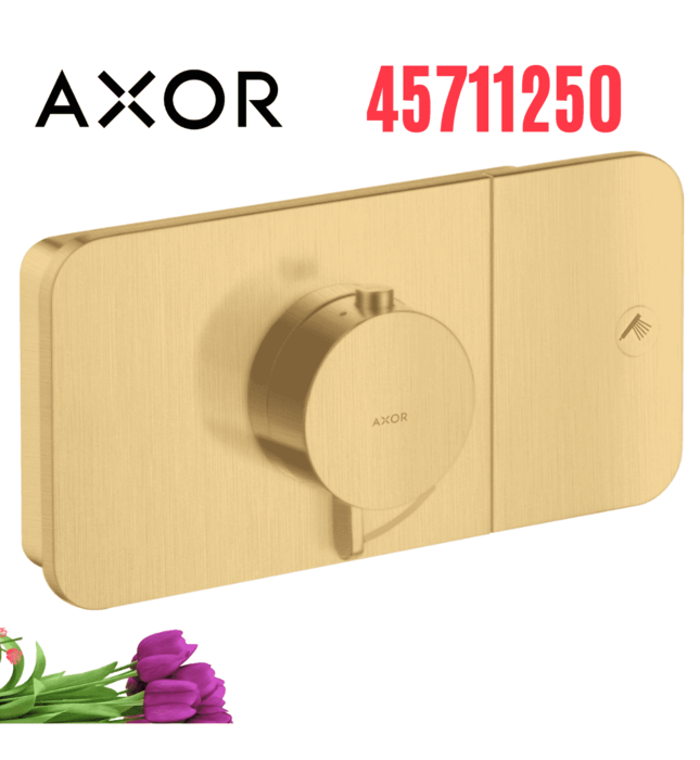 Mặt Nạ Điều Khiển Sen Âm Tường 1 Chế Độ Axor One 45711250