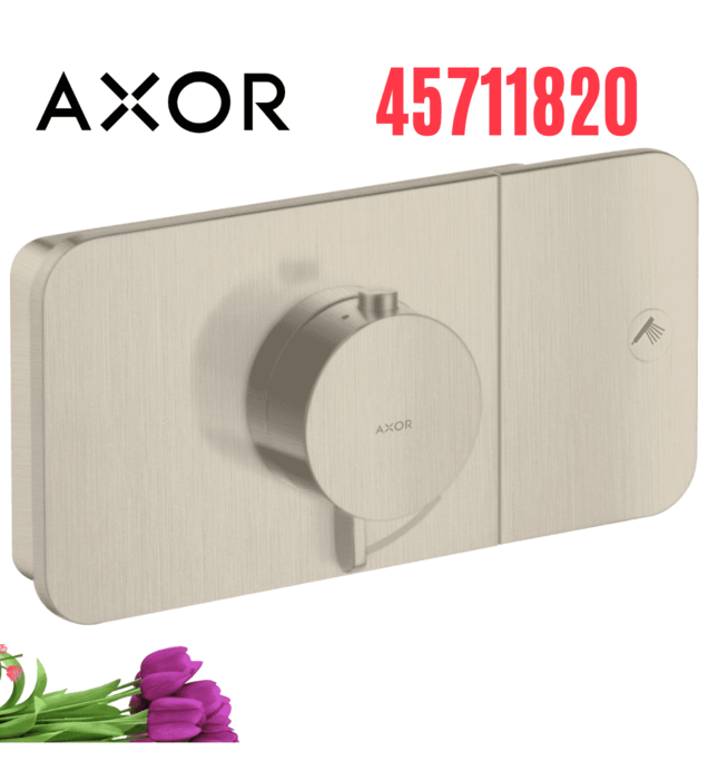 Mặt Nạ Điều Khiển Sen Âm Tường 1 Chế Độ Axor One 45711820