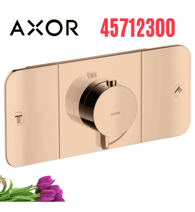 Mặt Nạ Điều Khiển Sen Âm Tường 2 Chế Độ Axor One 45712300