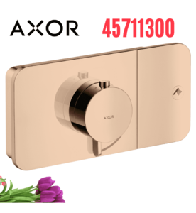 Mặt Nạ Điều Khiển Sen Âm Tường 1 Chế Độ Axor One 45711300