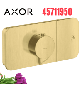 Mặt Nạ Điều Khiển Sen Âm Tường 1 Chế Độ Axor One 45711950