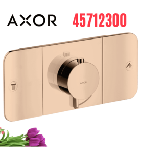 Mặt Nạ Điều Khiển Sen Âm Tường 2 Chế Độ Axor One 45712300
