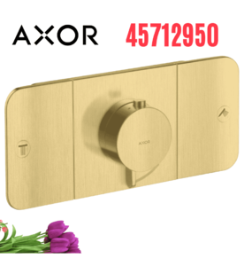 Mặt Nạ Điều Khiển Sen Âm Tường 2 Chế Độ Axor One 45712950