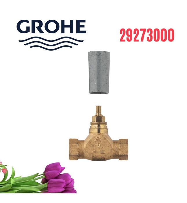 Van Âm Nhập Khẩu Đức Grohe 29273000