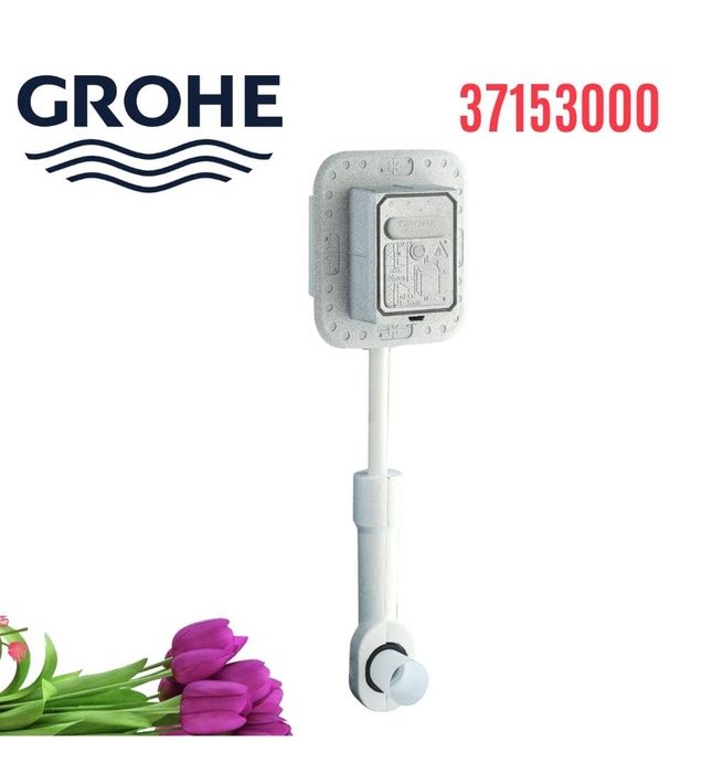 Van Xả Nước Cho Bồn Cầu Nhập Khẩu Đức Grohe 37153000
