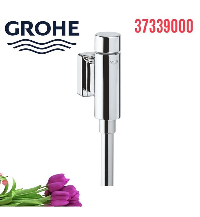 Van Xả Tiểu Nhấn Nhập Khẩu Đức Grohe 37339000