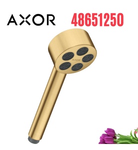 Tay Sen Nhập Khẩu Đức Axor One 48651250