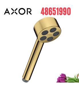 Tay Sen Nhập Khẩu Đức Axor One 48651990