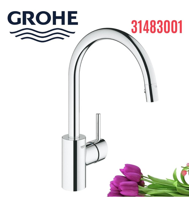 Vòi Chậu Rửa Bát Cần Cứng Đức Grohe 31483001