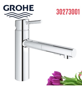 Vòi Chậu Rửa Bát Cần Cứng Đức Grohe 30273001