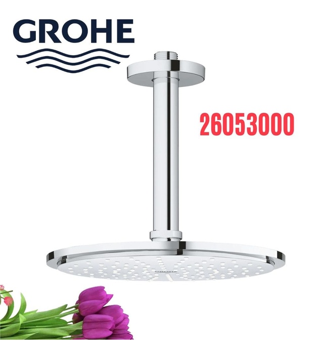 Bát Sen Tắm Gắn Trần Đức Grohe 26053000