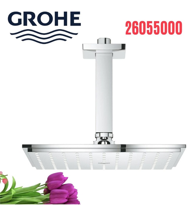Bát Sen Tắm Gắn Trần Đức Grohe 26055000