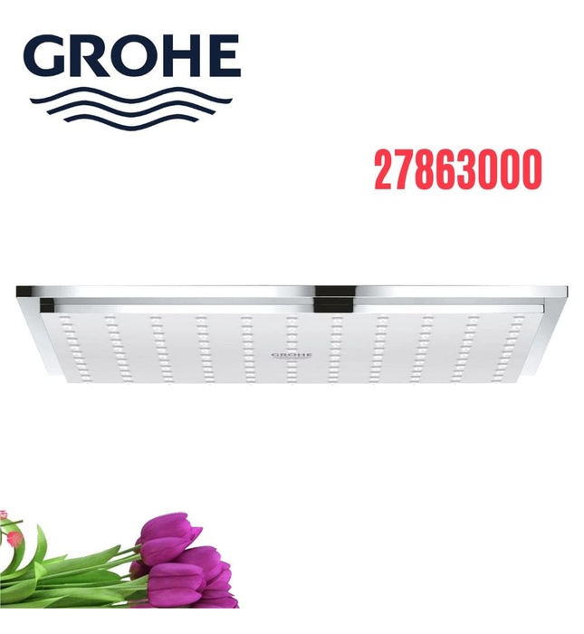 Bát Sen Tắm Gắn Trần Đức Grohe 27863000