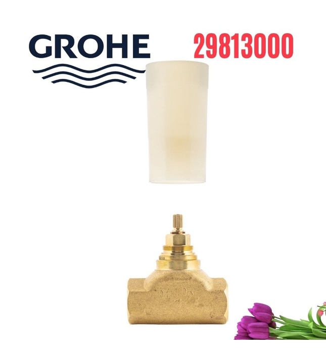 Van Âm Grohe 29813000