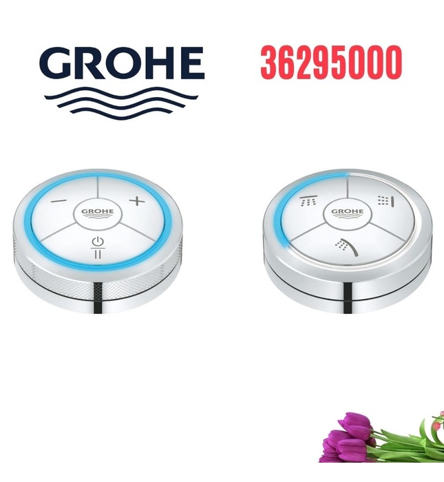 Bộ Chuyển Kỹ Thuật Số Vòi Sen Grohe 36295000