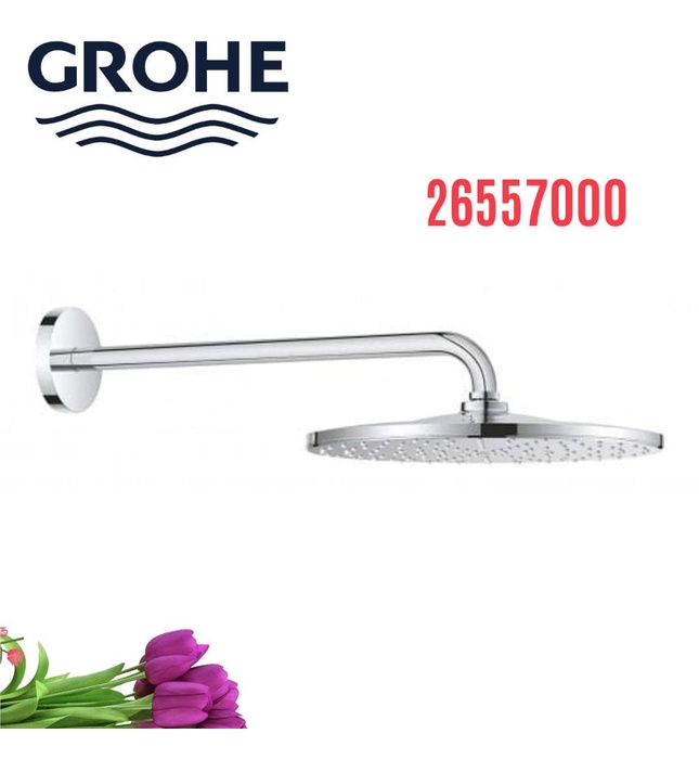 Bát Sen gắn tường Đức Grohe 26557000
