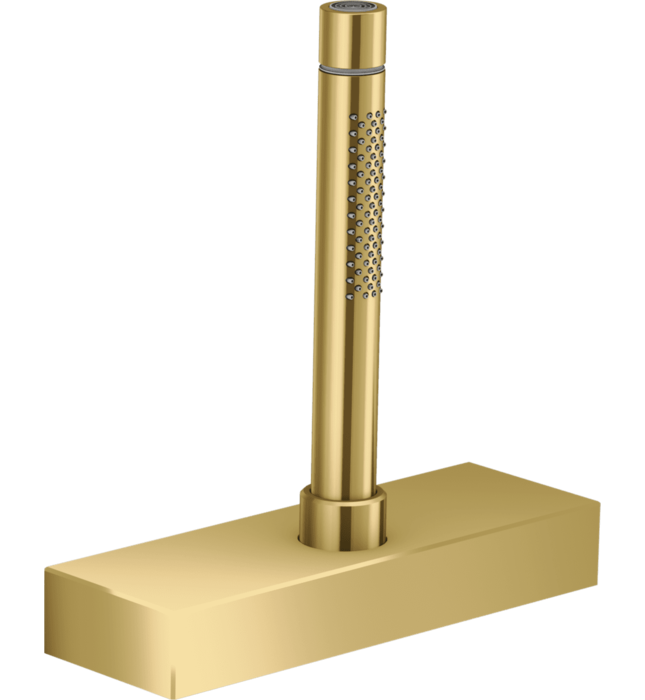 Sen Bồn Tắm Gắn Bồn Đức Axor Edge 46470000