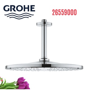 Bát Sen Tắm Gắn Trần Đức Grohe 26559000