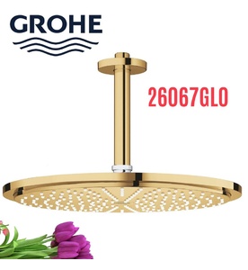 Bát Sen Tắm Gắn Trần Đức Grohe 26067GL0